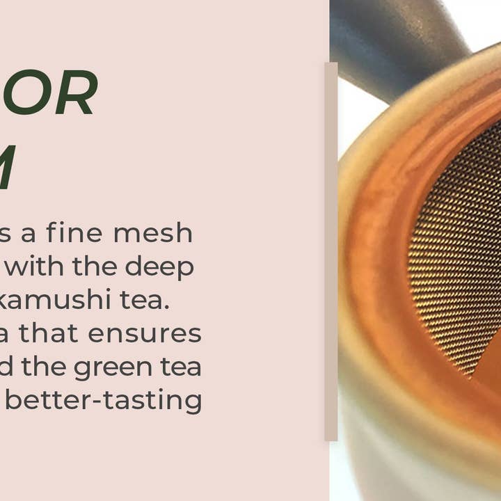 Japanese Green Tea Co. - Vendita all'ingrosso Teiere - Tokoname Yaki Kyusu teiera da 270 cc per tè Fukamushi15