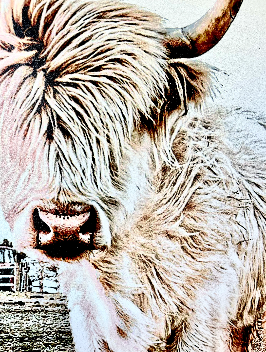 Simply Stained Shop - Wholesale Sign - Denarys and calves Black White Highland Cow3