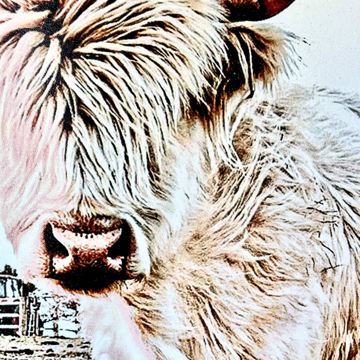 Simply Stained Shop - Wholesale Sign - Denarys and calves Black White Highland Cow3