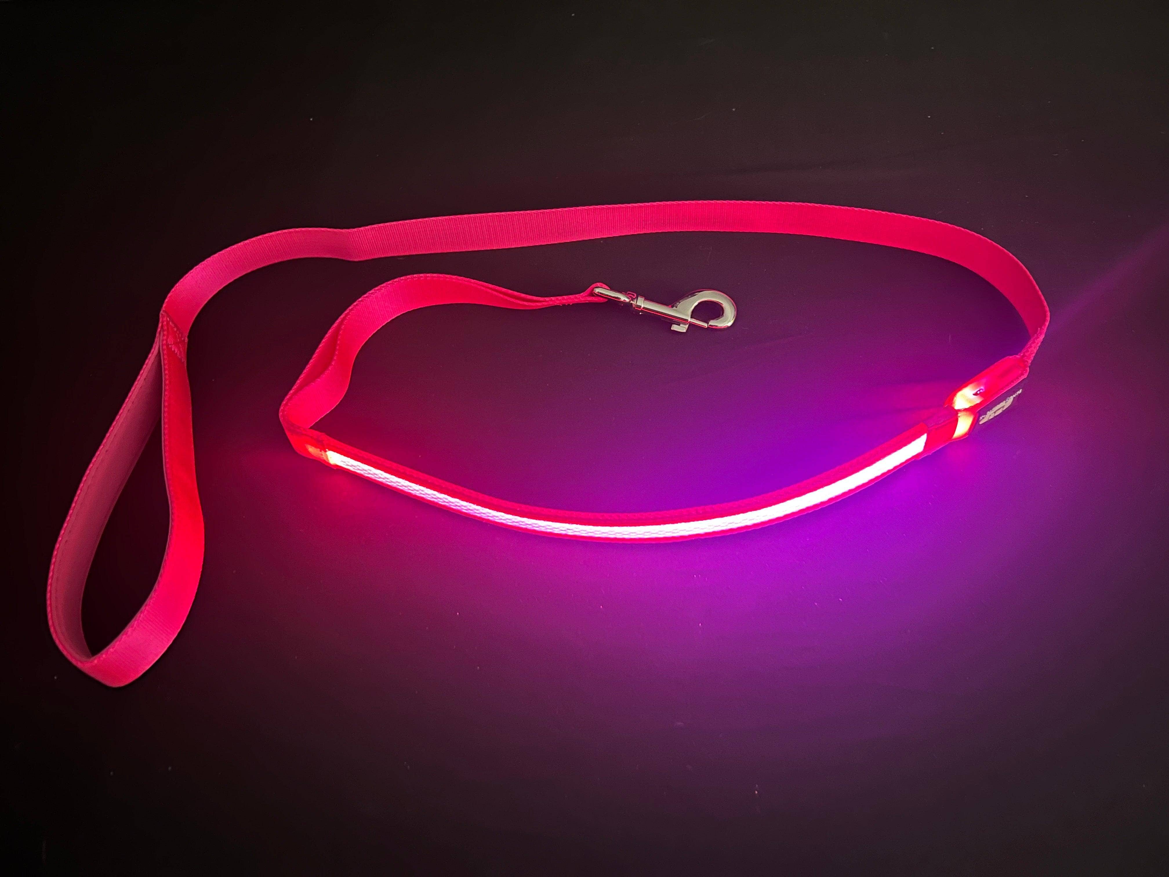 K-9ightLights L.L.C. - Wholesale Pet Leash - Dog - K-9ightLights LLC Pet Supplies Best Light Up LED Dog Leash7