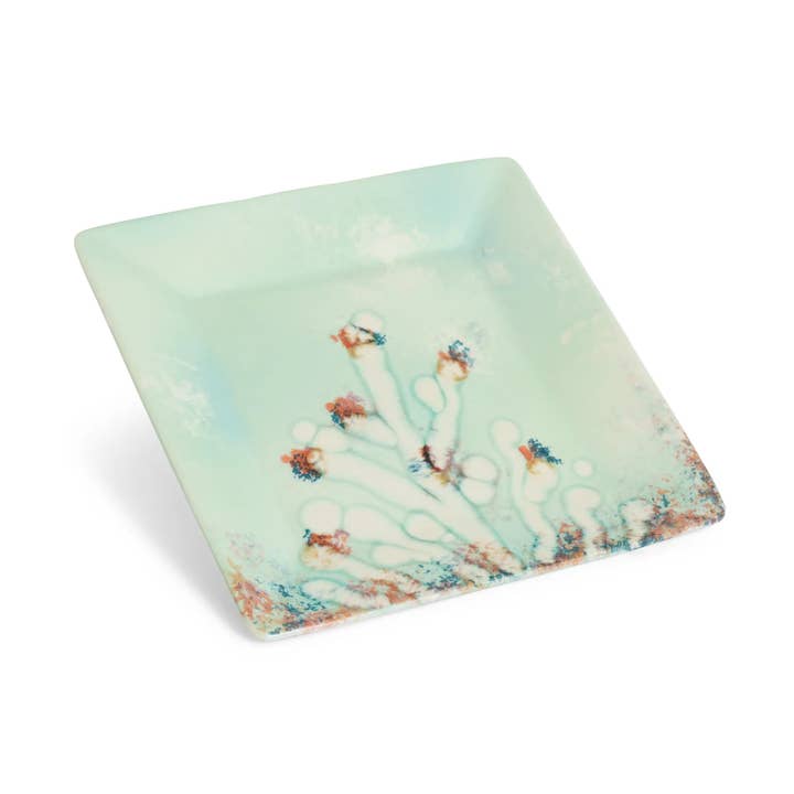 Square Plate Coral for wholesale by ABS Pottery