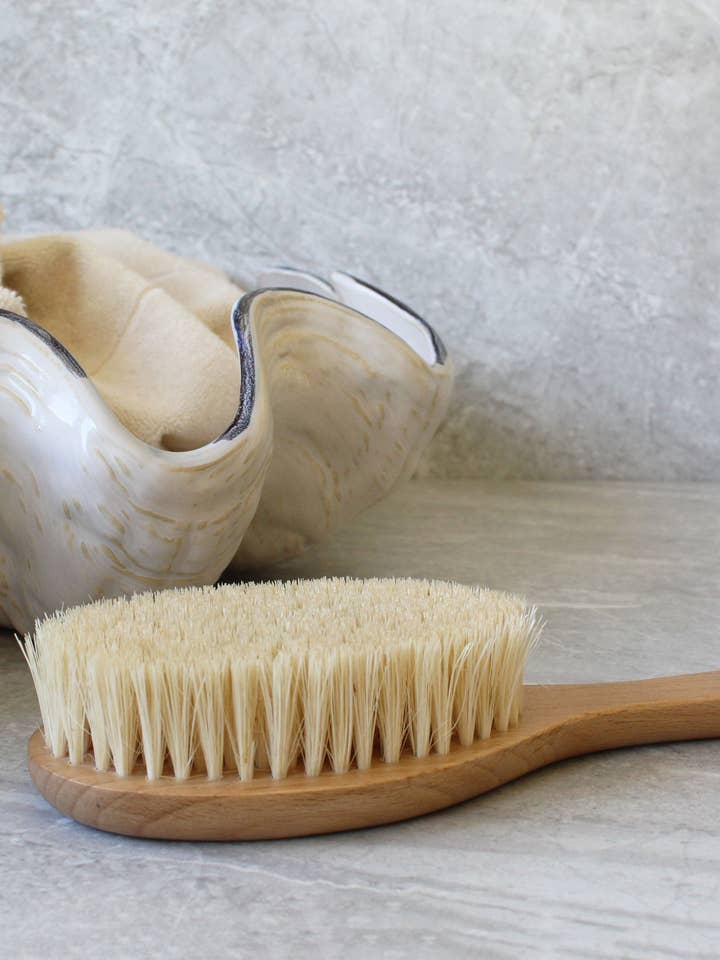 Brosse sèche Heales Apothecary pour la vente par Murchison-Hume