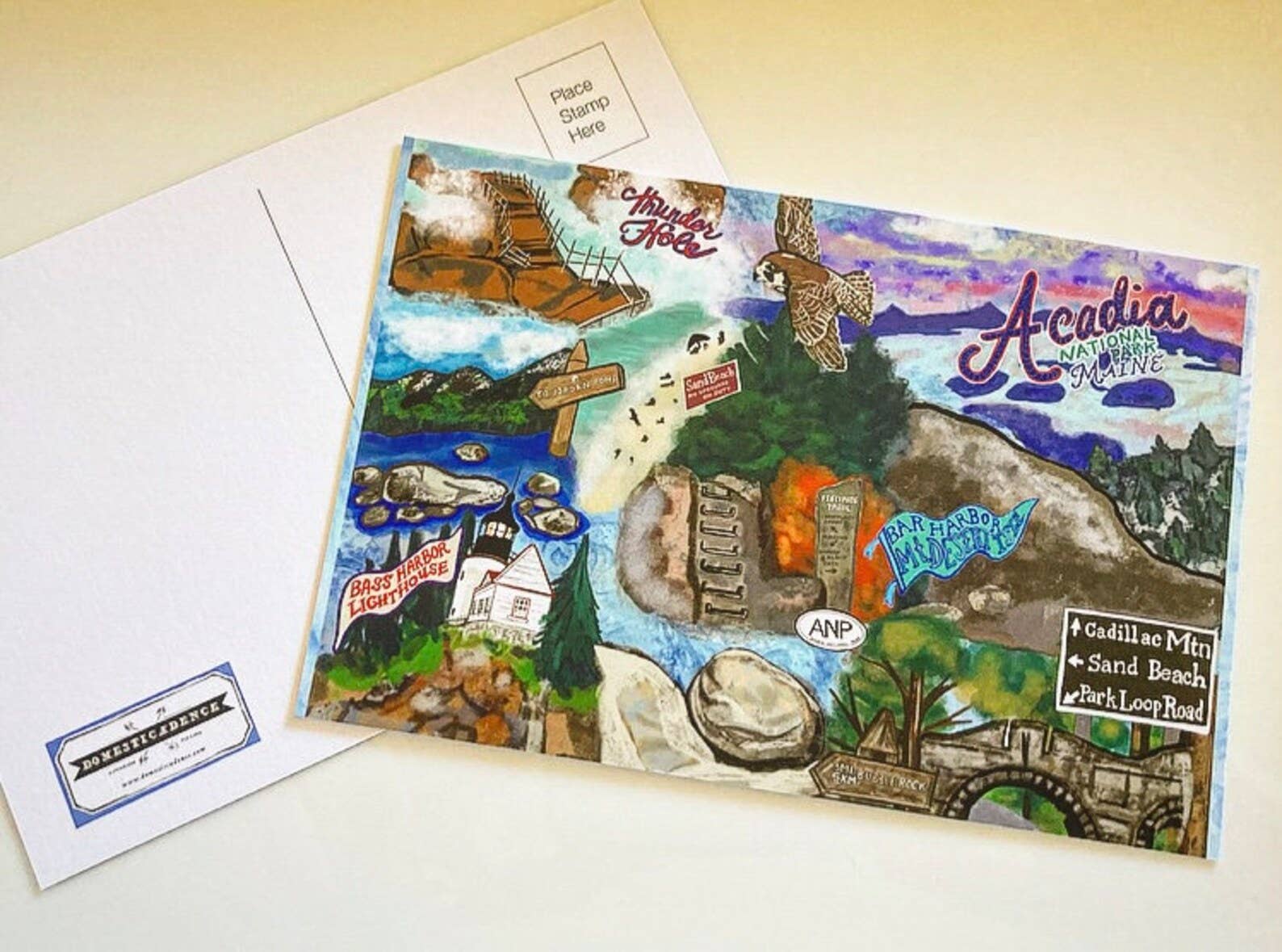 Domesticadence - Wholesale Postcard - Hand-Drawn Acadia National Park Postcards1