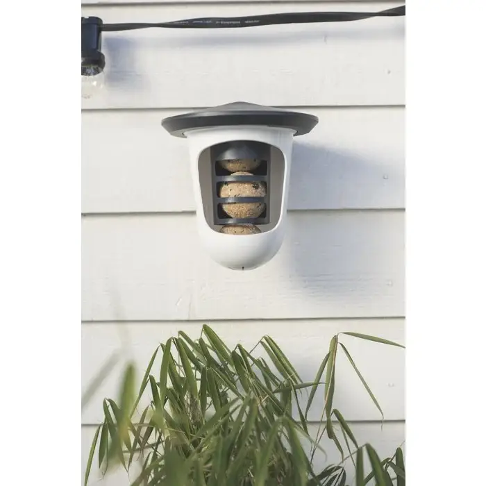 SingingFriend - Wholesale Bird feeder - Hello Multi plastic bird feeder3