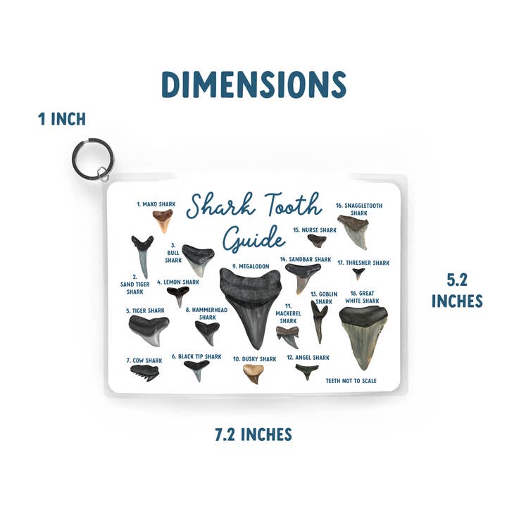 25 Sweetpeas - Wholesale Crafts, Hobbies & DIY - Shark Tooth Guide, Waterproof Reference, Beach Bag, ID2