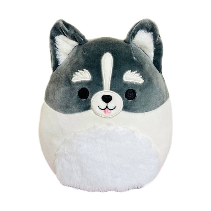 Peluche Chien Squishmallow 8" Paolo le Pomsky pour la vente par Authentic Street Signs