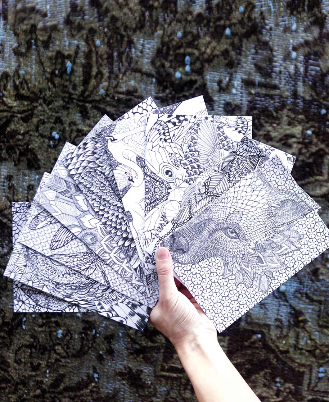 Shovava - Wholesale Colouring and activity book – adult - Adult Coloring Book1