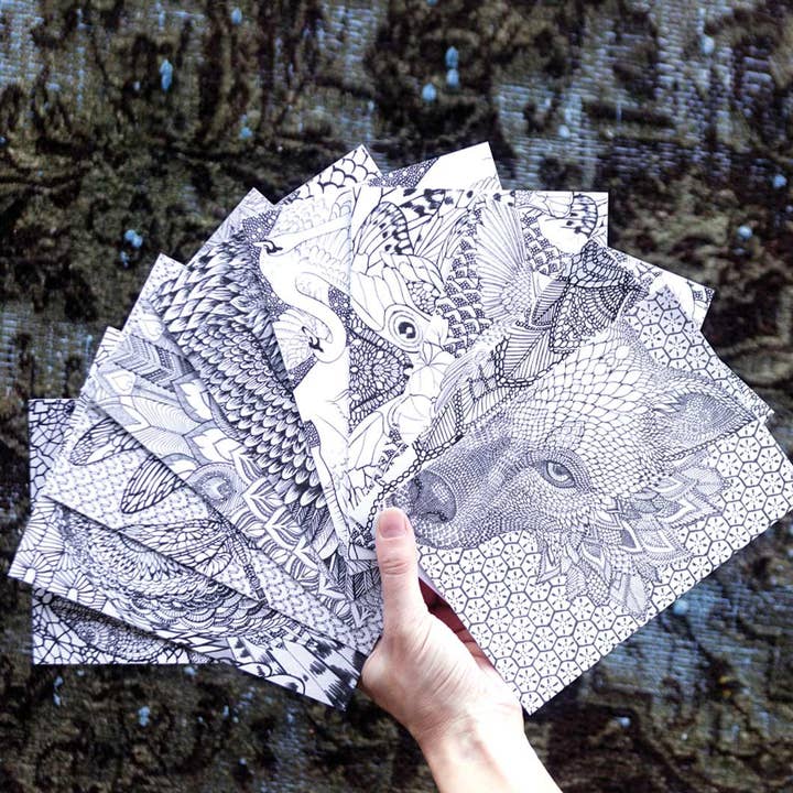 Shovava - Wholesale Colouring and activity book – adult - Adult Coloring Book1