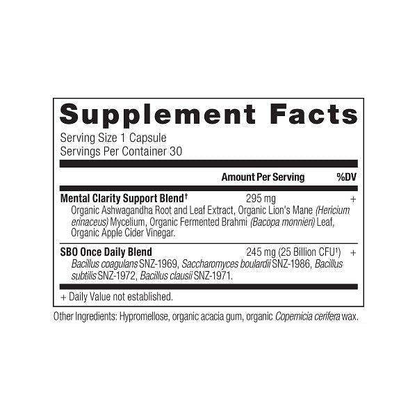 Dark Amber SBO Probiotics - Once Daily - Mental Clarity - 30ct for wholesale on Faire