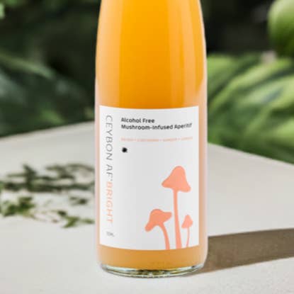 Ceybon - Vente Apéritifs sans alcool/mocktails - Claire Brillante AF : Apéritif sans alcool infusé aux champignons1