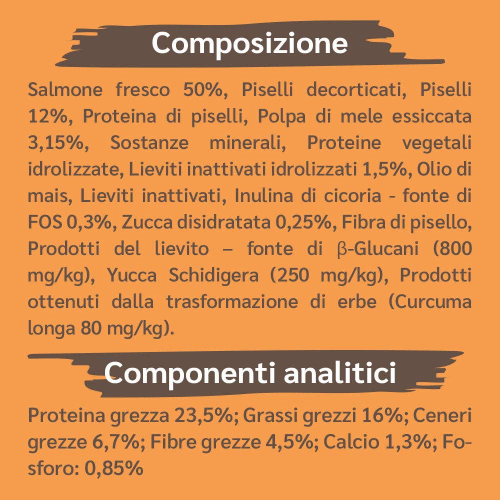 Pettech S.r.l. - Wholesale Pet Treats - Dog - Kibble with Fresh Salmon, Peas, and Apple for Adults2