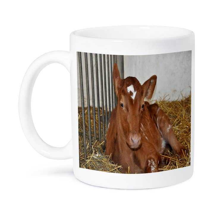 3dRose - Wholesale Coffee Mug - 3dRose, Ayrshire Calf laying down , Mug8