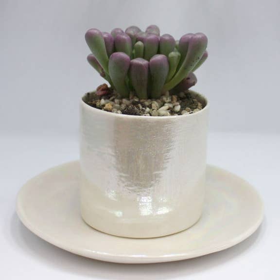 Small Pearl Plant Pot And Plate for wholesale by Melissa Choroszewska Ceramics