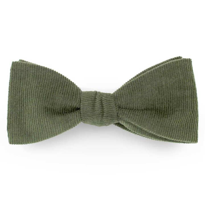 Enkel fluga i khakigrönt bomullsvelvet för wholesale av Le Coq en Pap'