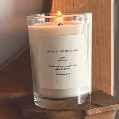 Violet, Smoke + Fig Handcrafted Scented Soy Candle for wholesale by Species by the Thousands