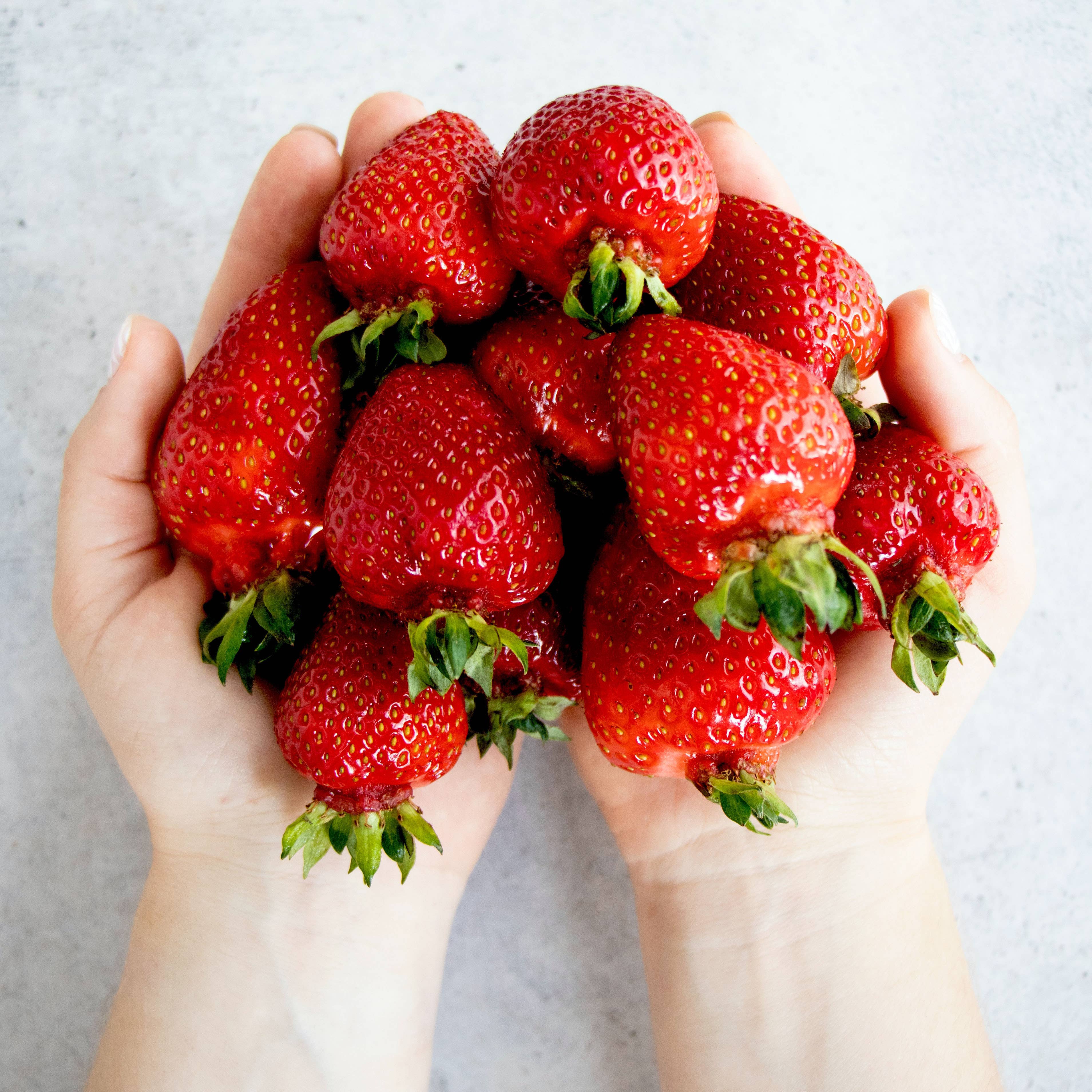 Georgia Jams - Vente Confiture/gelée - Sunrise de fraise - 9 oz5