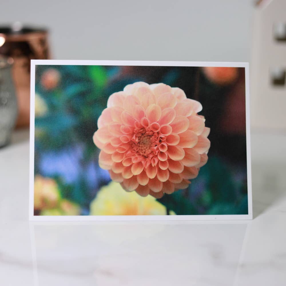 New England Prints - Wholesale Stationery/Notecard Set - Box of 5 All Occasion Summer Bloom Blank Note Cards7