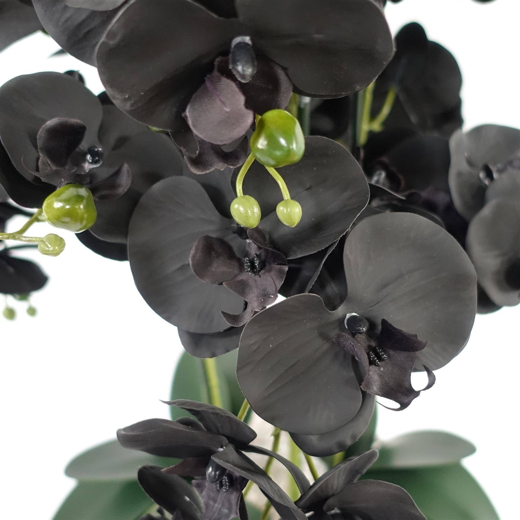Leaf Design UK LTD – wholesale Artificial flowers – Orchid Black - White Ceramic Planter2