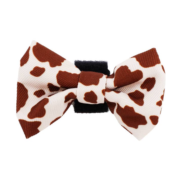 Rodeo: Cat Bow Tie for wholesale by Pablo & Co. Boutique