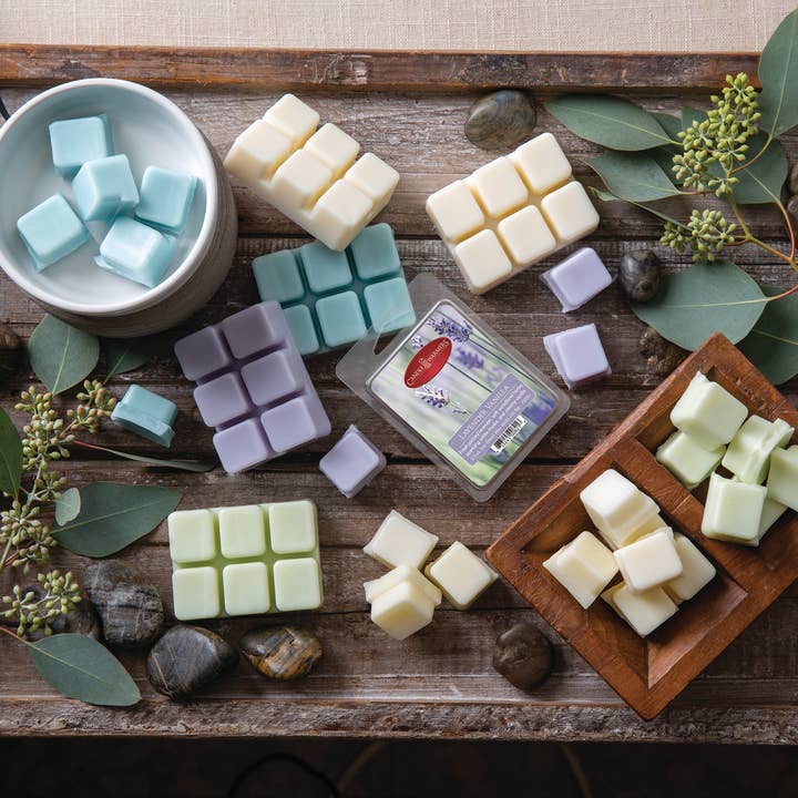 Candle Warmers Etc. - Wholesale Wax Melt - 2.5 oz Wax Melt Zen Garden