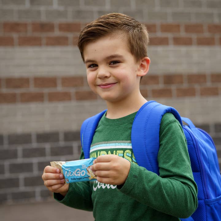 NuGo Nutrition - Wholesale Snack Bar - NuGo Original Vanilla Yogurt Protein Bar6