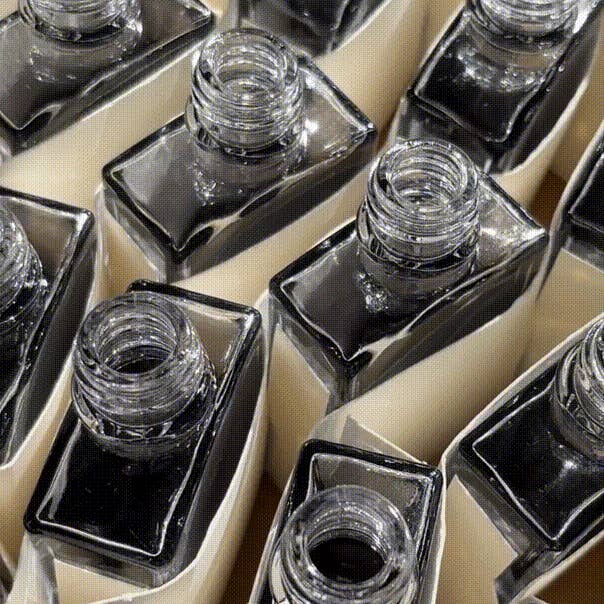 Seraphine Botanicals – wholesale Facial serum/concentrate – Tamanu + Mugwort - Recovery & Relief Serum5