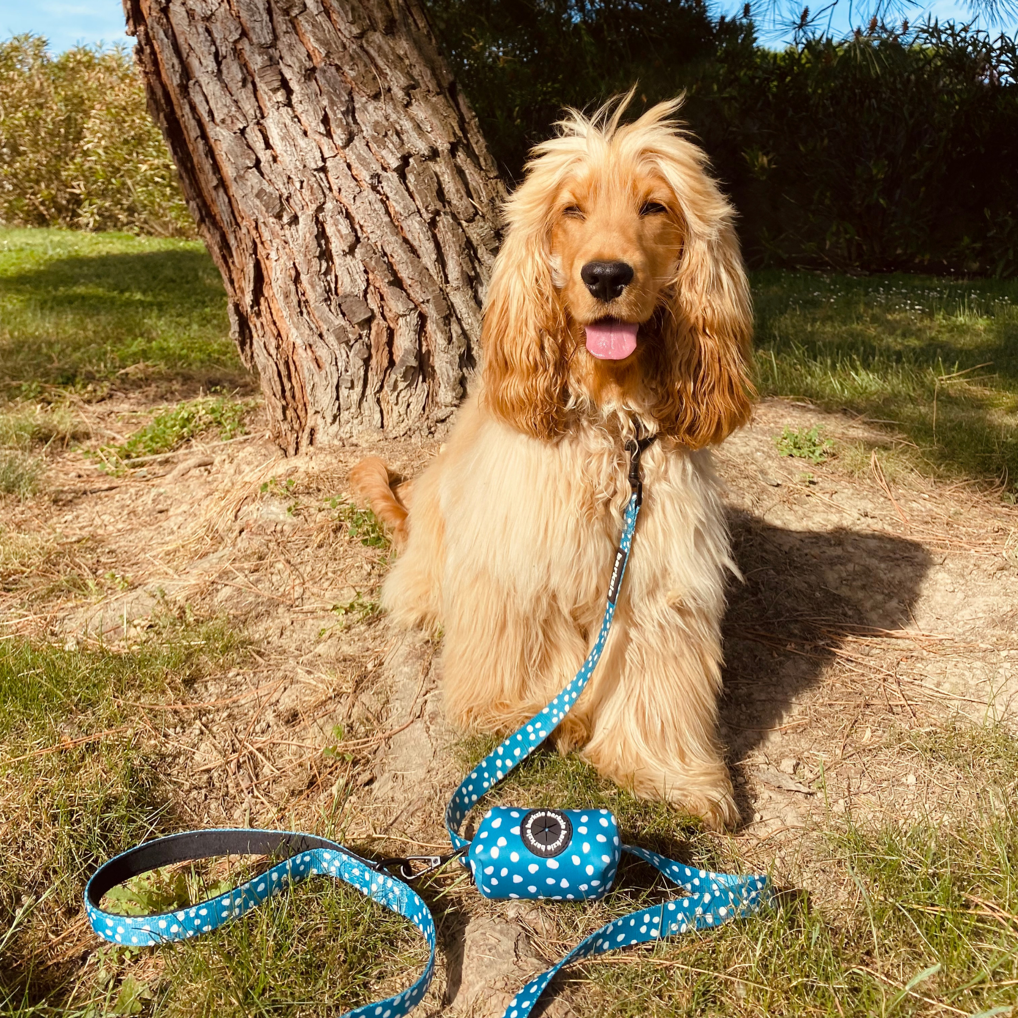 barkzie – Großhandel Leine – Hund – Leine „Nice“ – 1,50 m robuste und flexible Hundeleine4