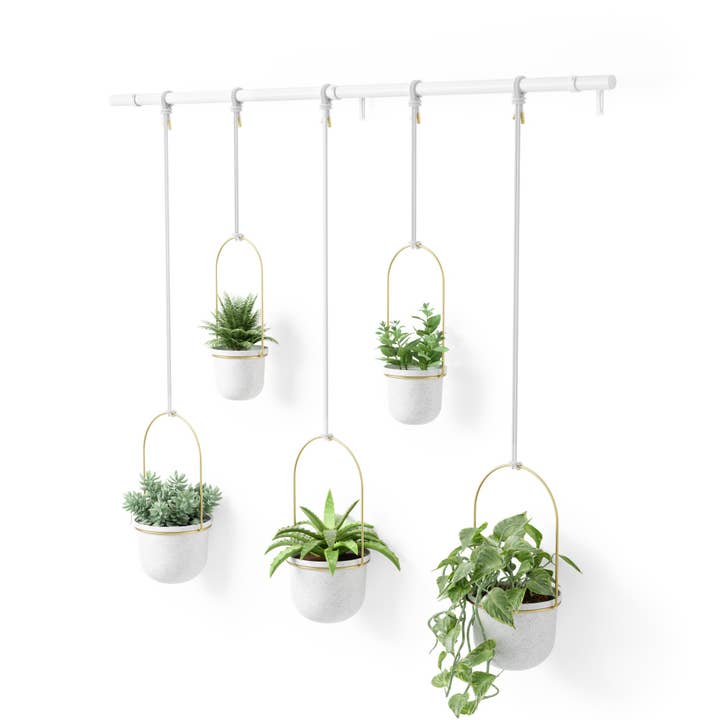 Umbra - Wholesale Hanging Planter - Triflora Hanging Planter Large, Set of 5