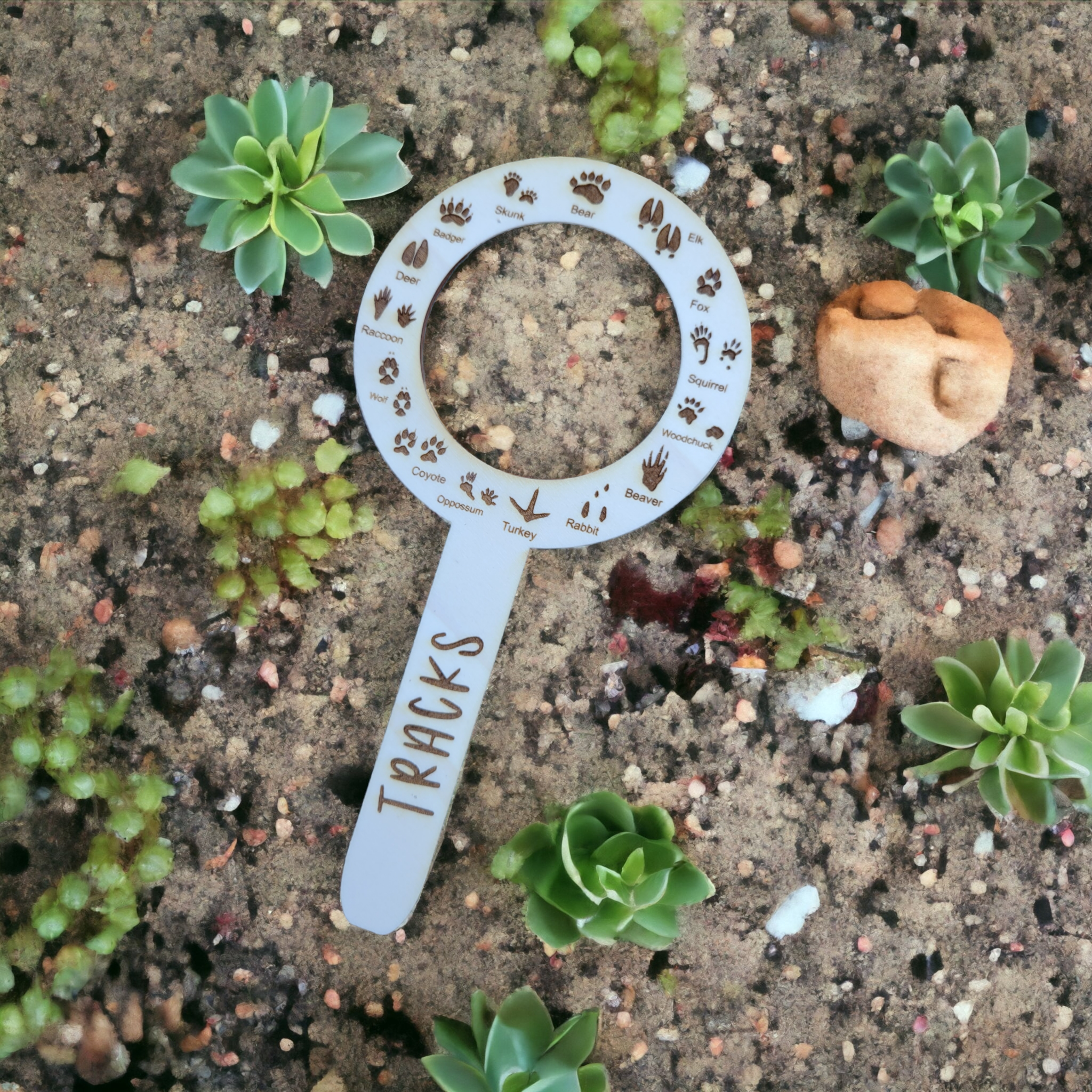 Ellie Joe Design Co – Engroshandel Trælegetøj - Børn – Bugs og spor tracker sæt i ahorntræ2