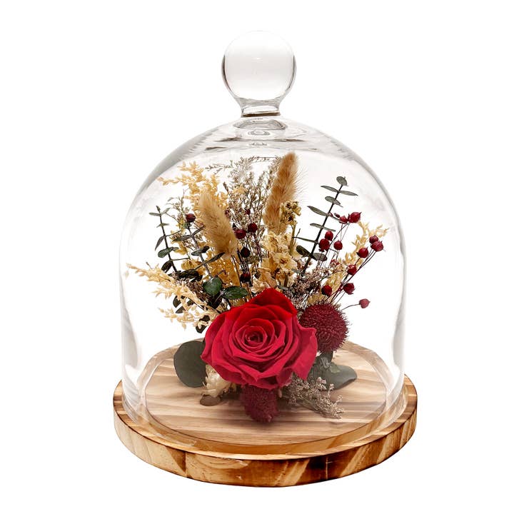 10" Red Preserved Rose Botanical Cloche for wholesale by Andaluca