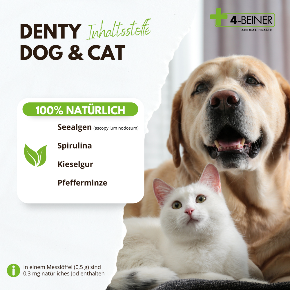 Kauartikel.com GmbH - Wholesale Pet Supplement - Cat/Dog - 4-legged Denty-Dog & Cat 90g2