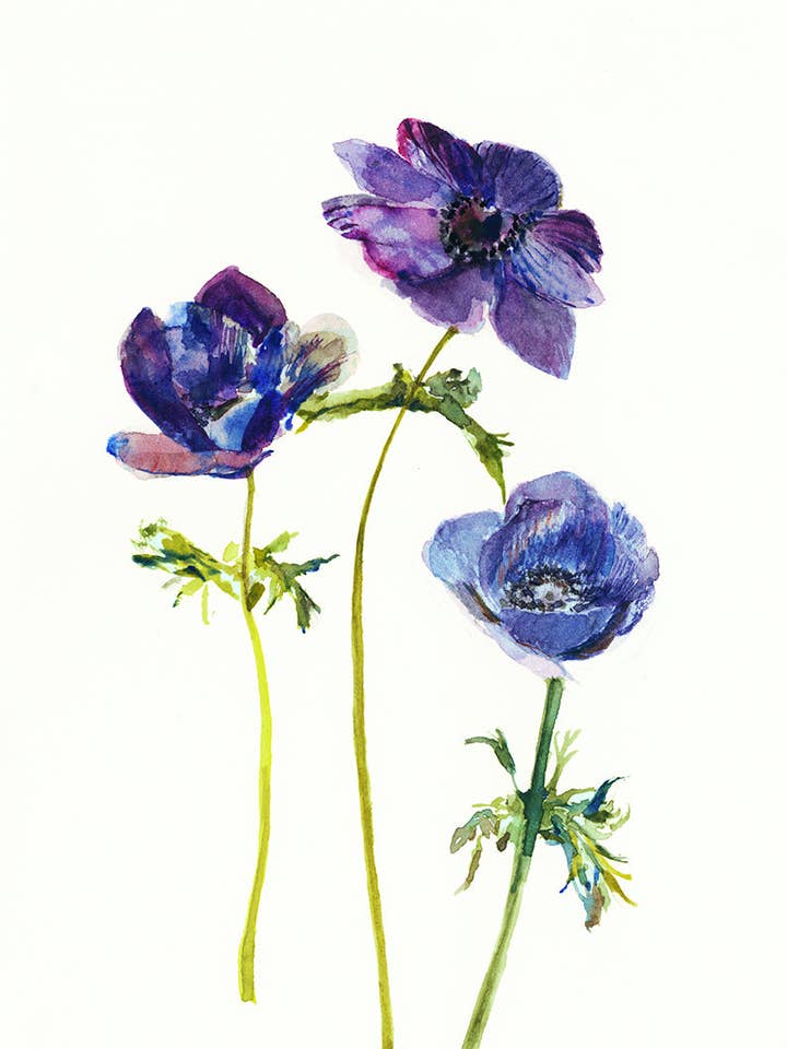 Purple Haze Kunstdruck, A4 für den Großhandel von Ping He Art