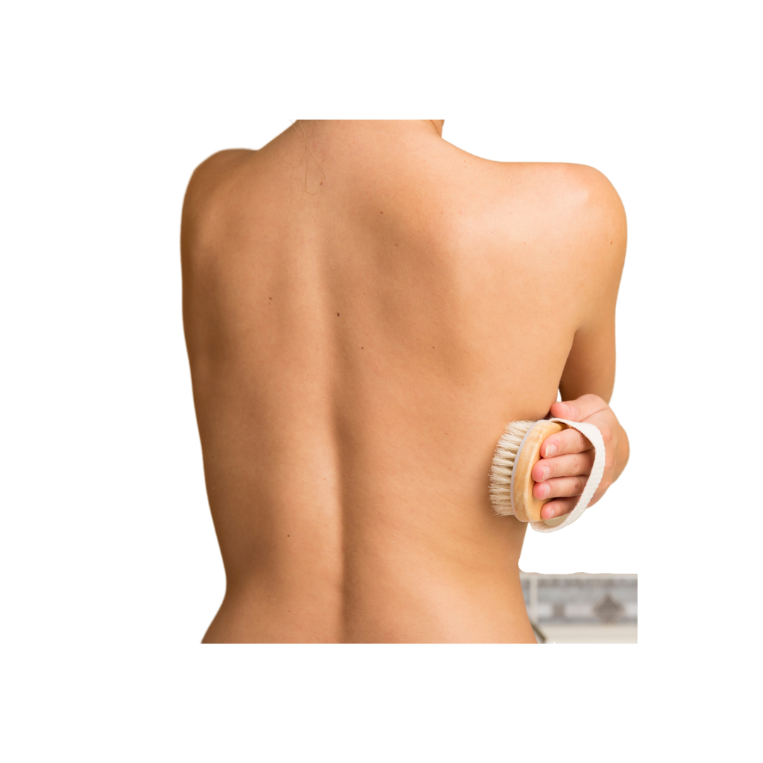 Kansa Organics - Wholesale Body Brush - Garshana Dry Brush (detachable 16" handle)5