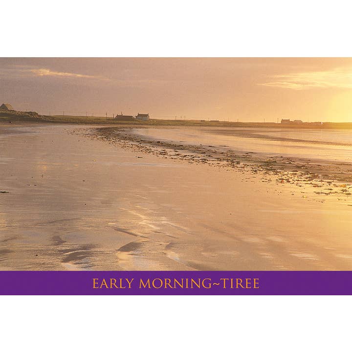 Kleine Postkarte Early Morning Tiree für den Großhandel von Island Blue Publishing