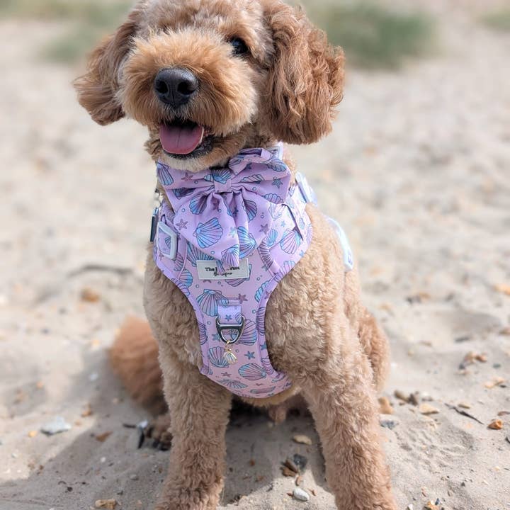 The Paw Print Boutique - Wholesale Pet Harness - Dog - Mermaids Tails Adventure Paws Harness14