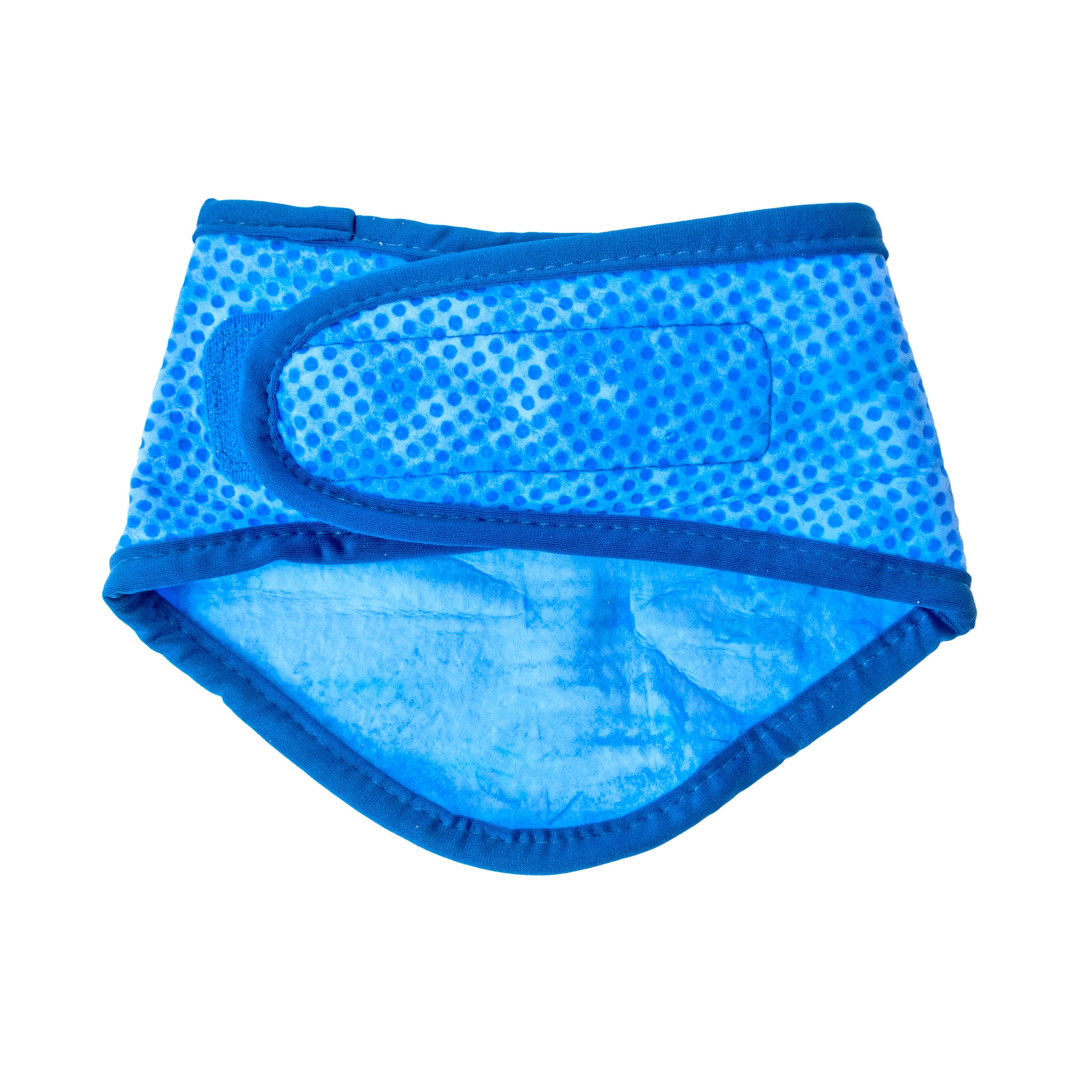 GF Pet - Wholesale Pet Bandana - Dog - ICE BAND - Dog Cooling Bandana - Blue2