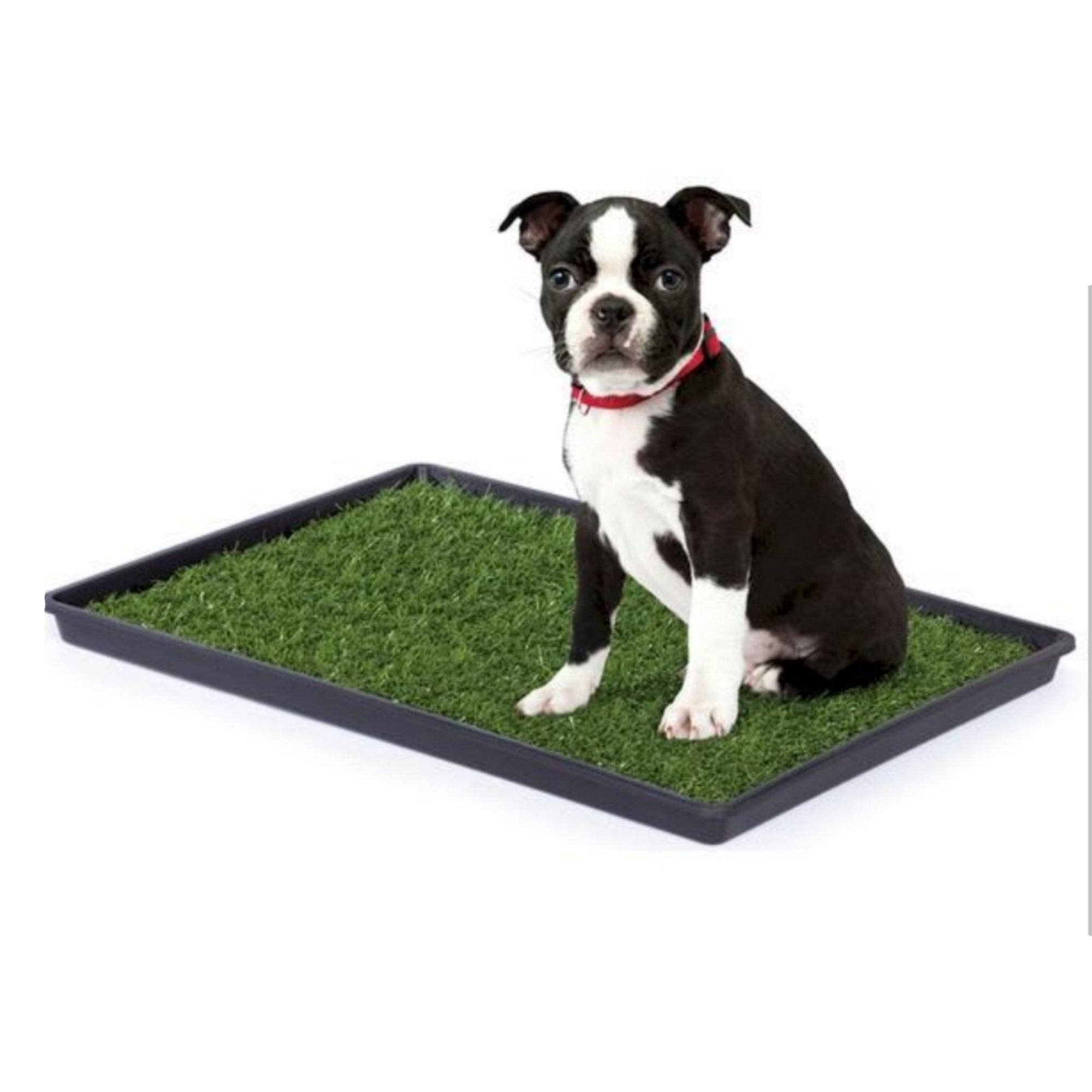 My Doggy Place Dog Mat for Muddy Paws, Washable Dog Door Mat, Ash, M 