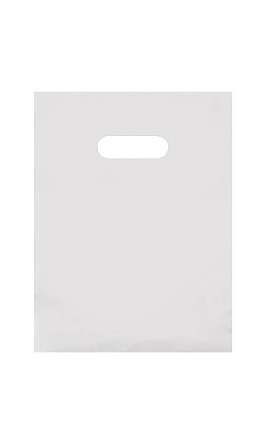 Store Supply Warehouse - Wholesale Gift Bag - Frosted Retail Merchandise Bags8