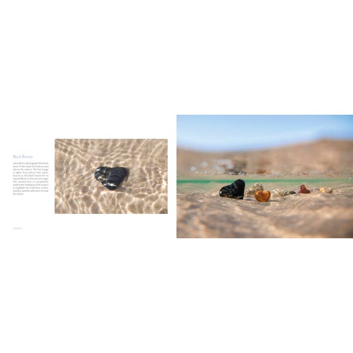 Schiffer Publishing - Wholesale Nature & Outdoors Book - My Heart Rocks5