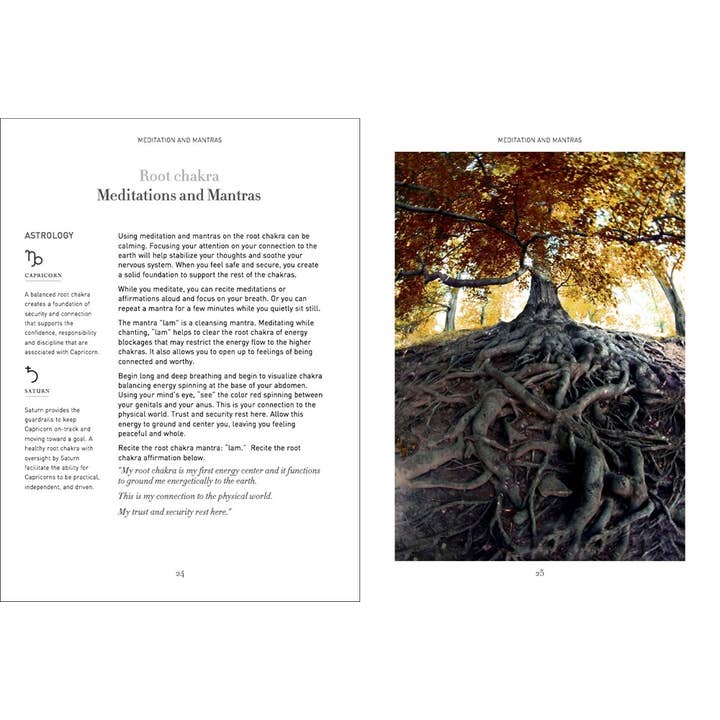 Union Square & Co. - Wholesale Book - Adult - Sacred Chakras by Victor Archuleta