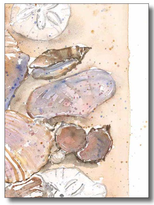 Seashells for wholesale by WORDS & WATERCOLORS BY PEG CONLEY