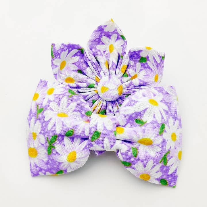 Purple Daisy Dog Bow Tie and Collar Flower for wholesale by Charlotte's Pet