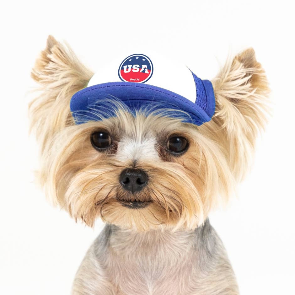 PupLid – wholesale Hatt - Hund – USA Stars Design l Truckerhatt för hundar27