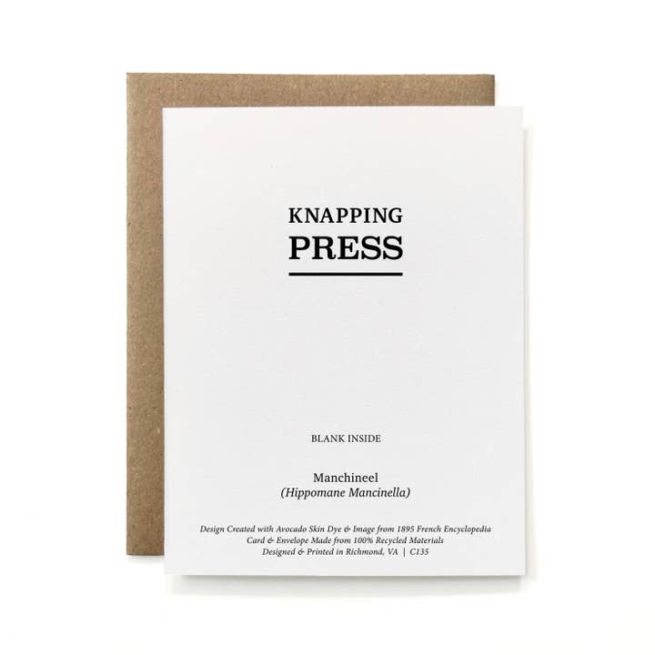 Knapping Press - Wholesale Stationery/Notecard Set - Set of 6 - 100% Recycled Painted Botanicals Card Collection7