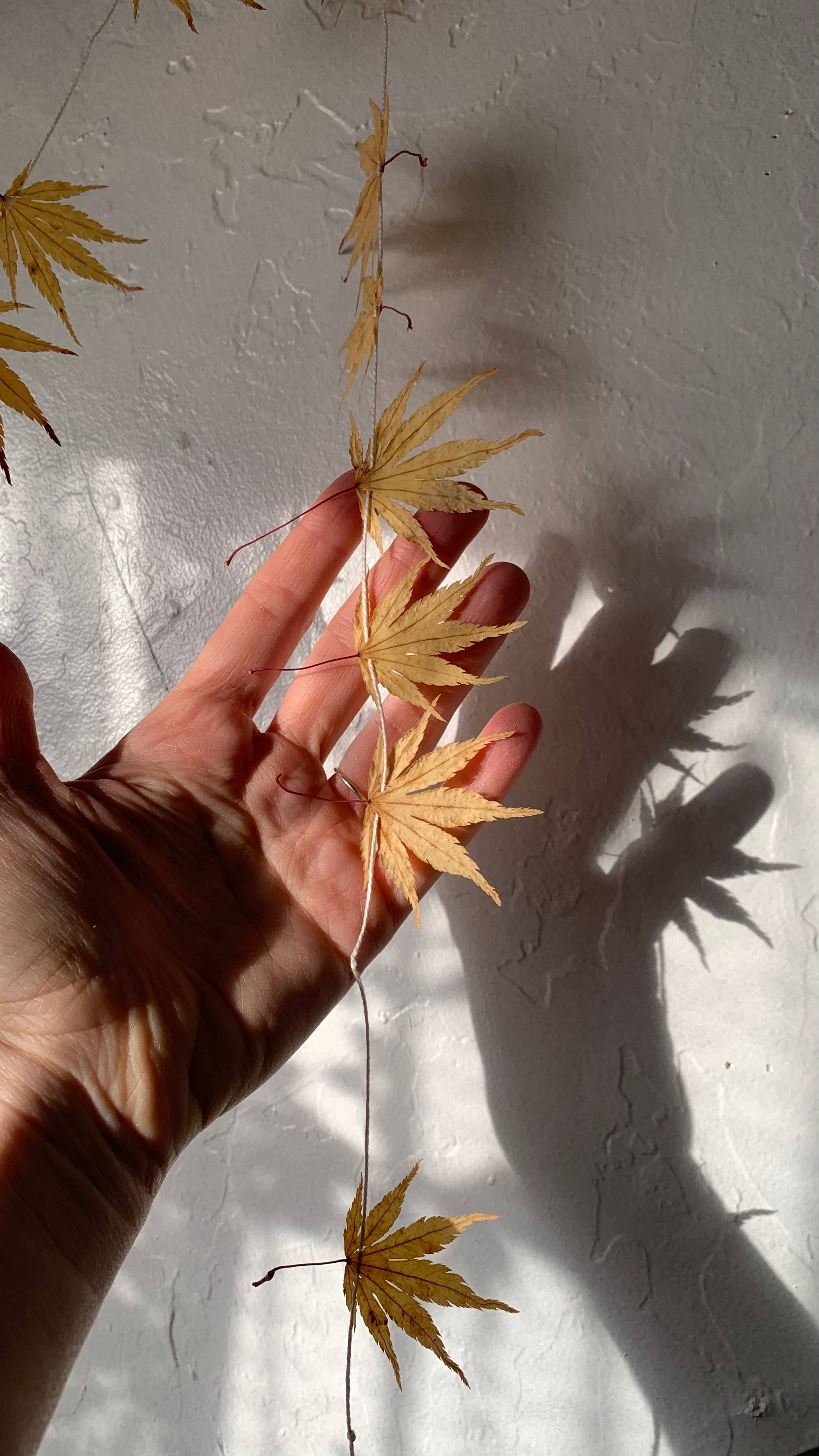 Twig and Snip - Wholesale Bunting/Garland - Dried Japanese Maple Leaf Garland GOLDEN- Natural Decor10