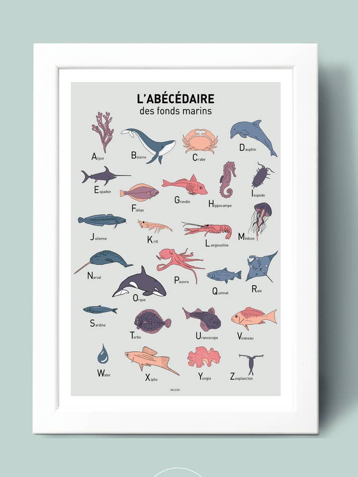 Abecedario de los fondos marinos para venta al por mayor de Mrjcrrart