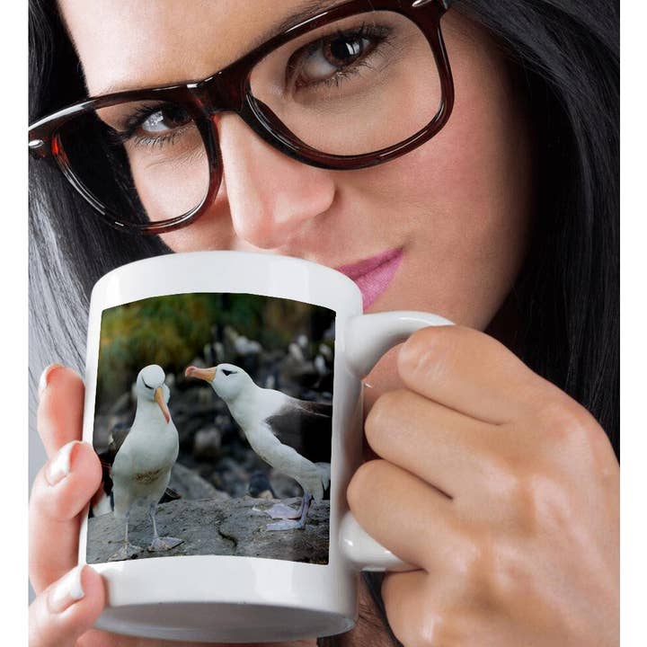 3dRose - Wholesale Coffee Mug - 3dRose, Falkland Islands. Black browed albatross Mating display., Mug9