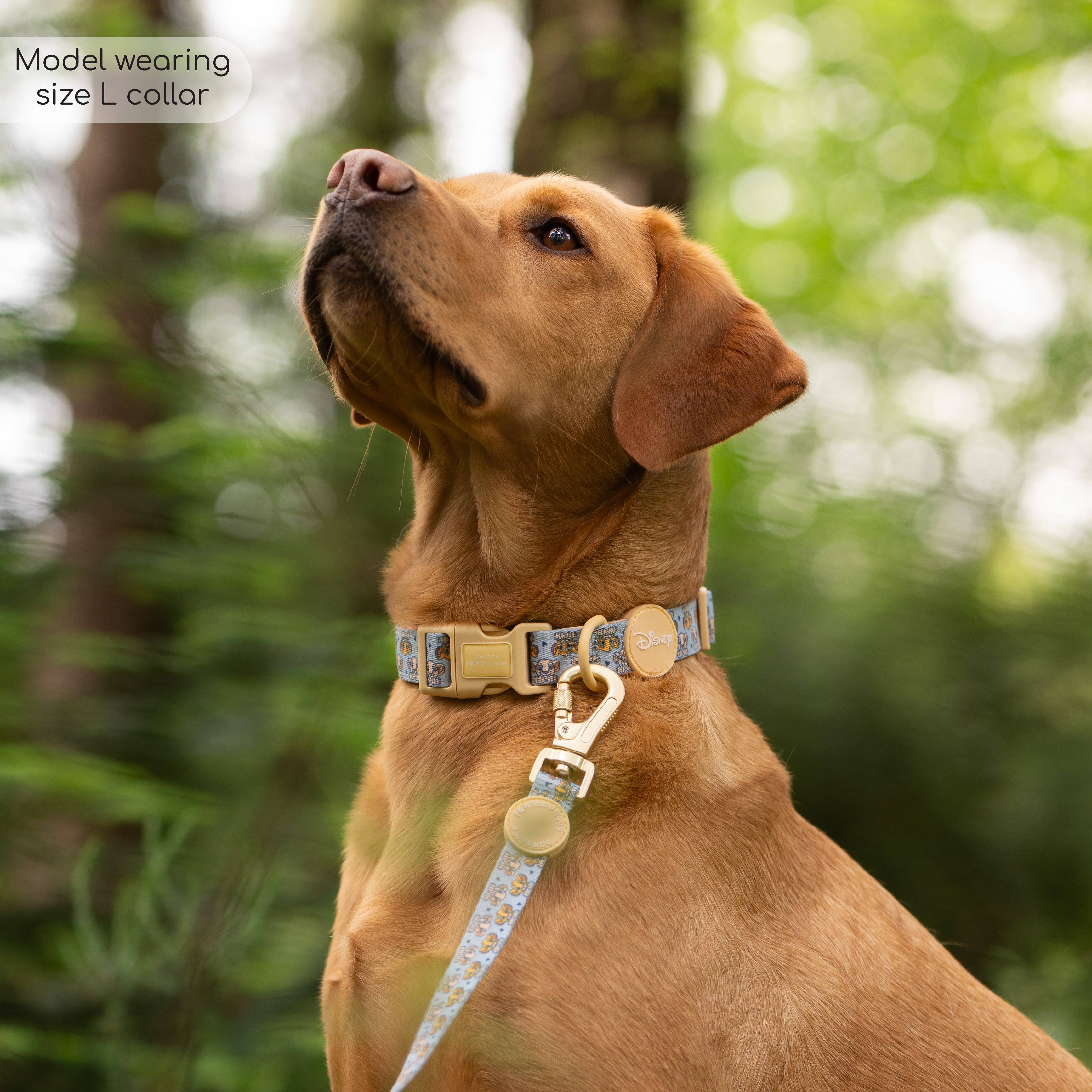 Pawsome Paws - Vendita all'ingrosso Collare - Cani - Collare Disney© - Amici del leone2