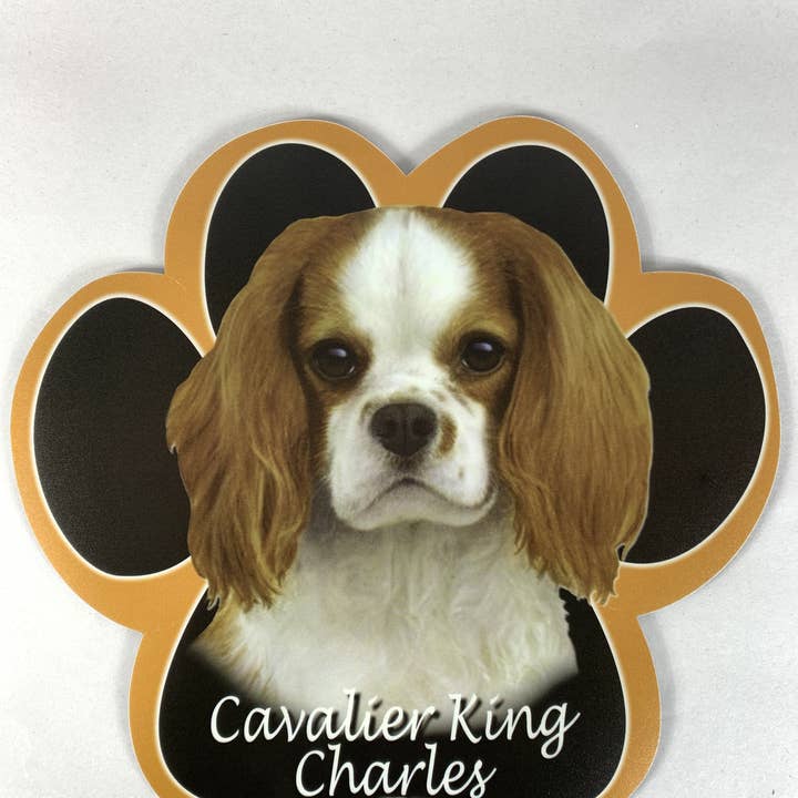 E&S Pets - Wholesale Mousepad/Trackpad - King Charles Cavalier Closeout XXX Computer Mousepad