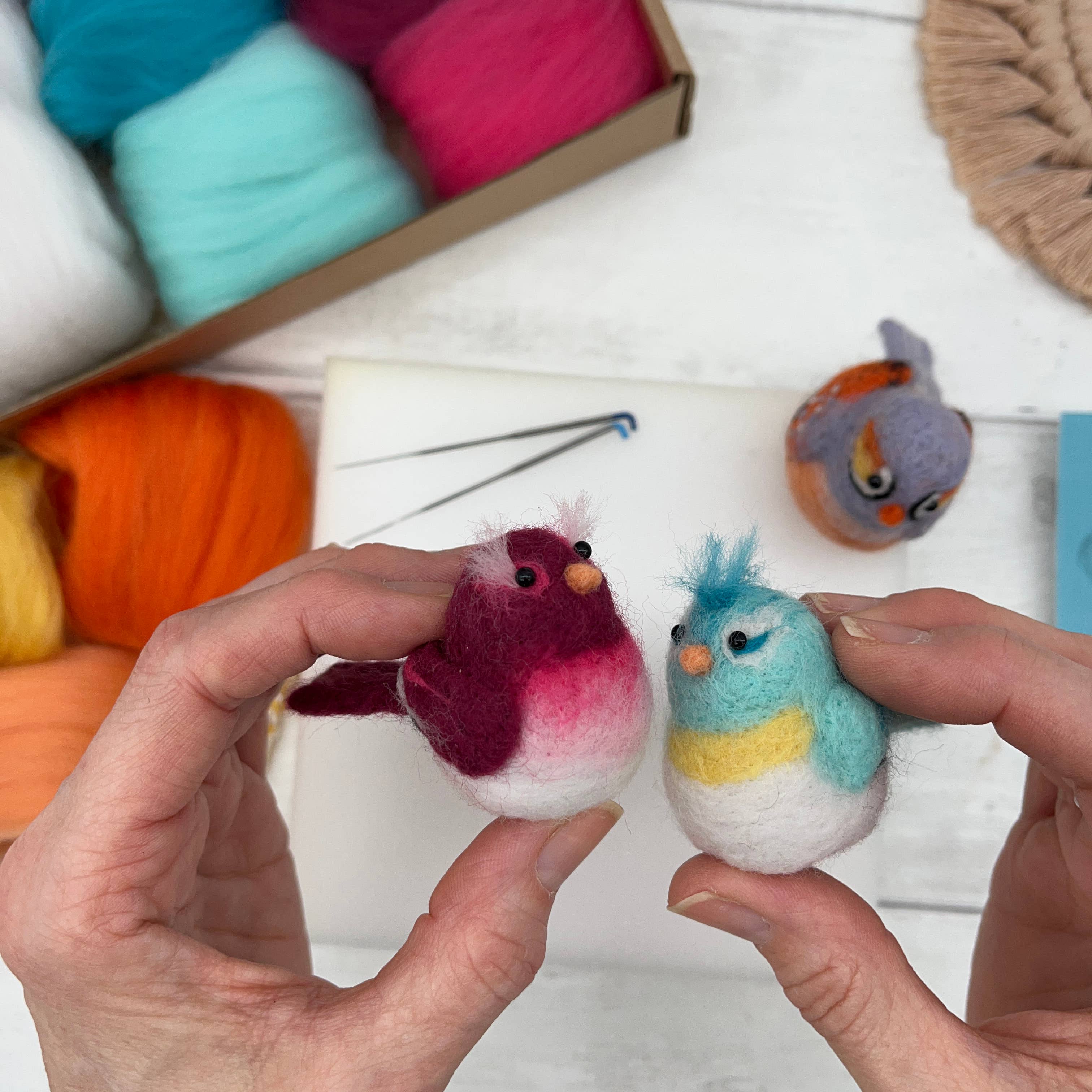 Bergin & Bath – wholesale Craft sewing kit – Needle Felting Kit, Baby Birds5
